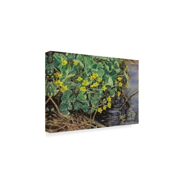 Jan Benz 'Marsh Marigolds' Canvas Art,30x47